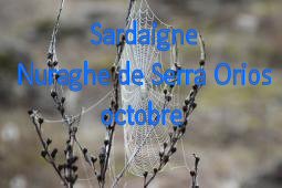 Sardaigne Nuraghe de Serra Orios 10/2013