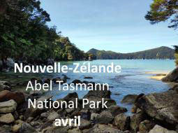 Nouvelle-Zélande - Abel Tasmann National Park 04/2019