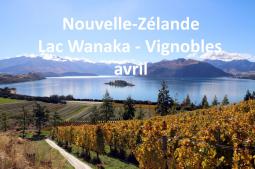 Nouvelle-Zélande - Lac Wanaka Vignobles 04/2019