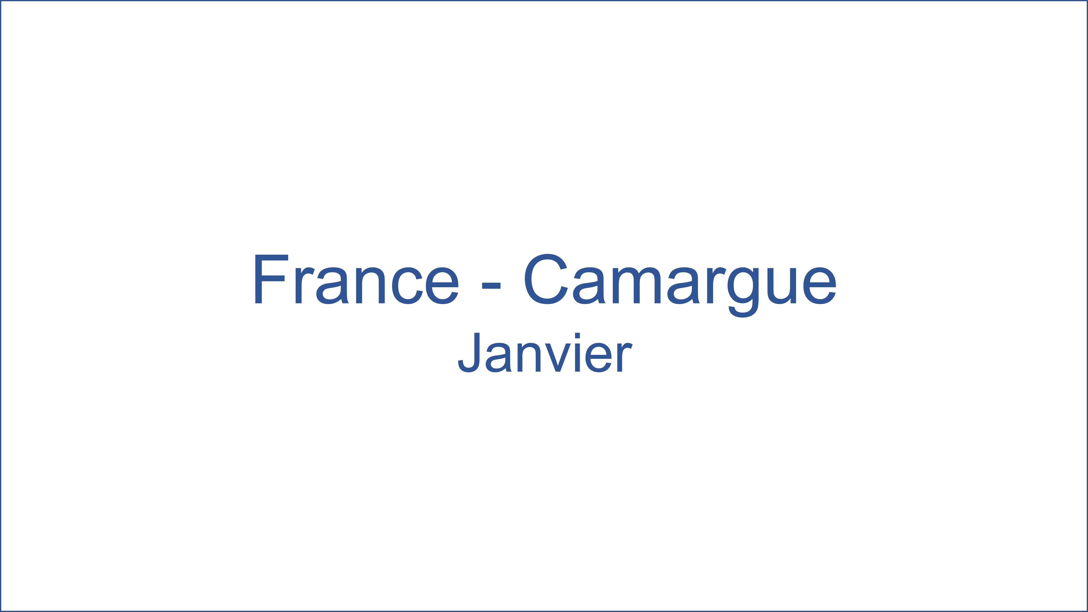 France - Camargue 01/2021