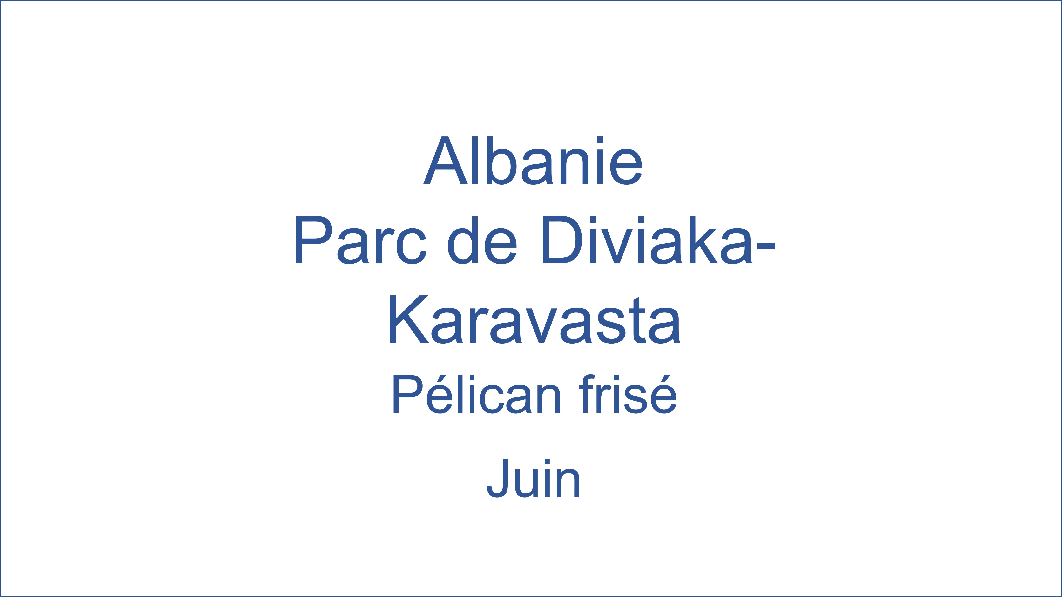 Albanie - Parc de Diviaka-Karavasta 06/2022