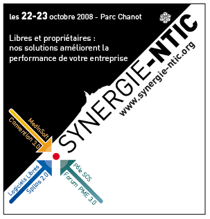 SYNERGIE-NTIC